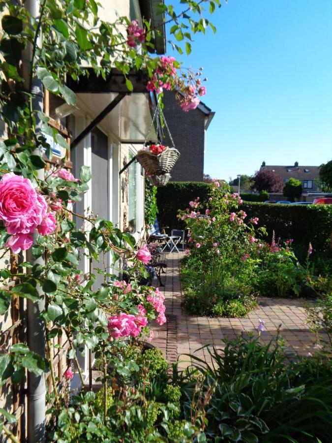 Oddingsplace Hardenberg Exterior foto